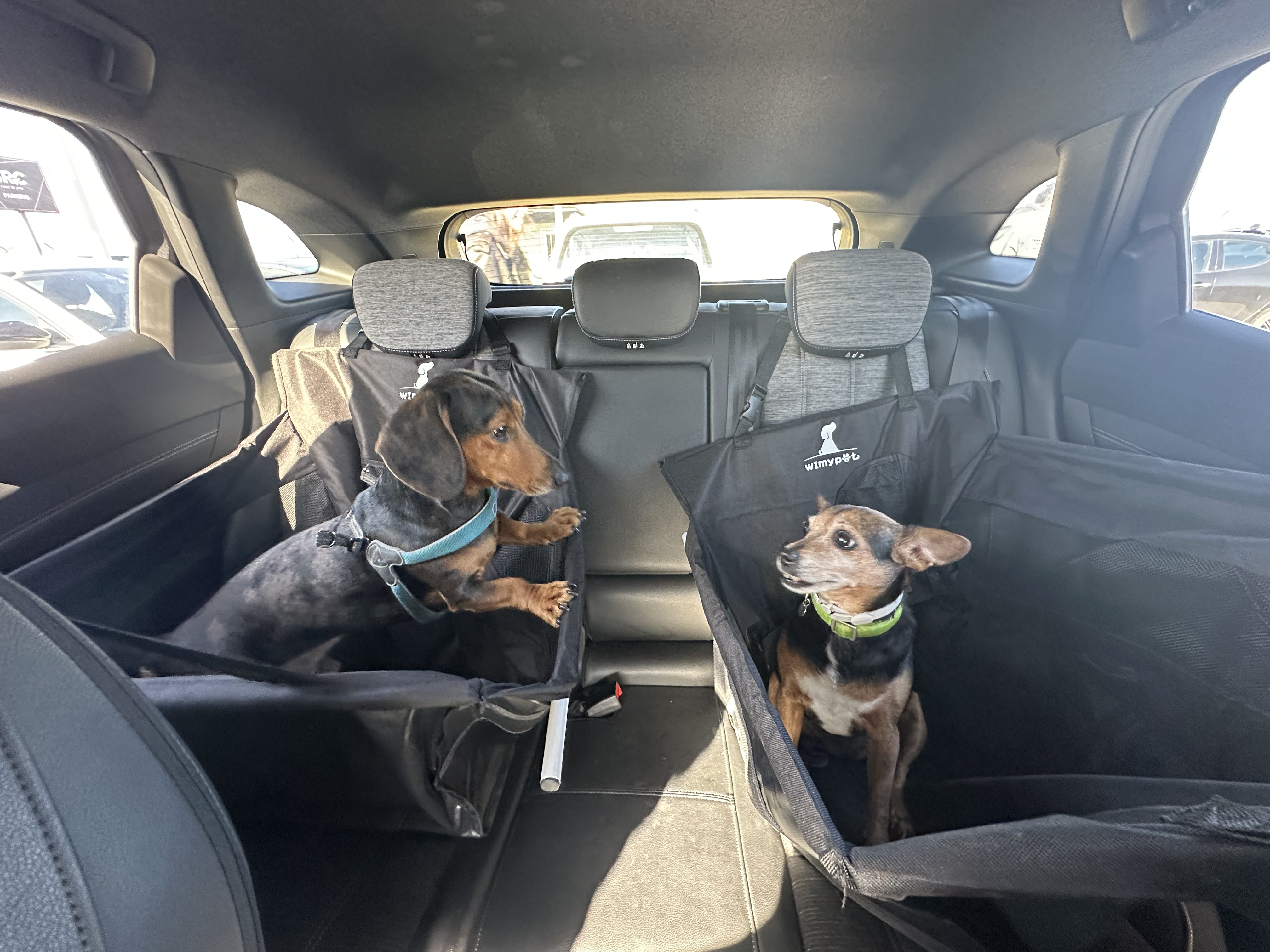 PET VOYAGE