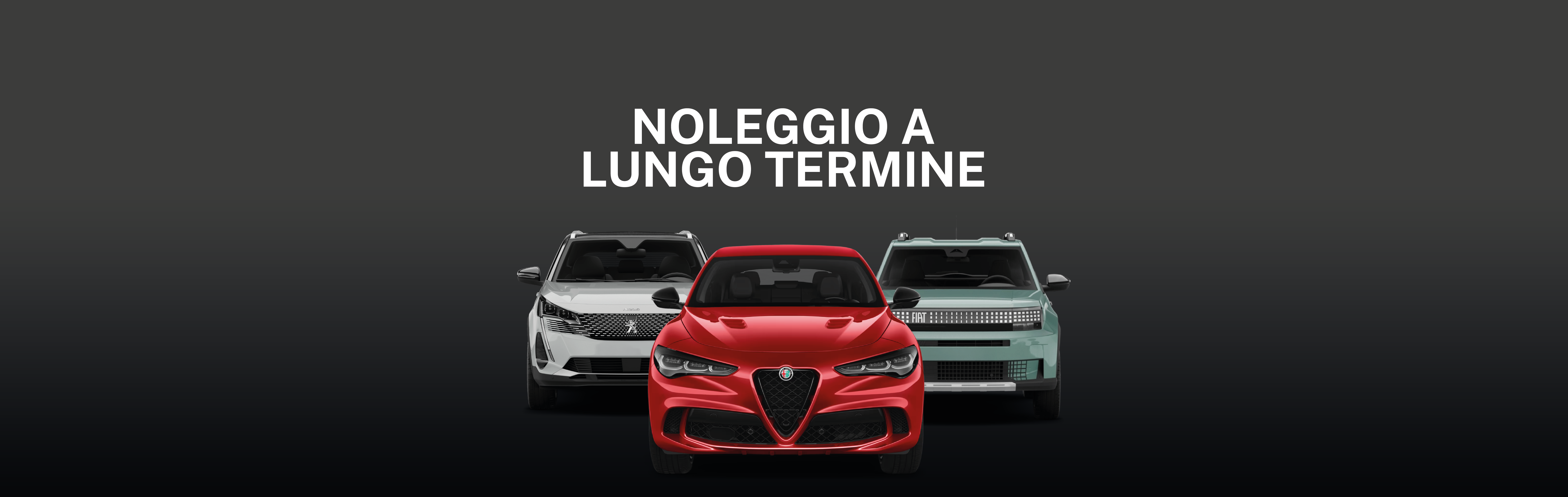 Noleggio lungo termine